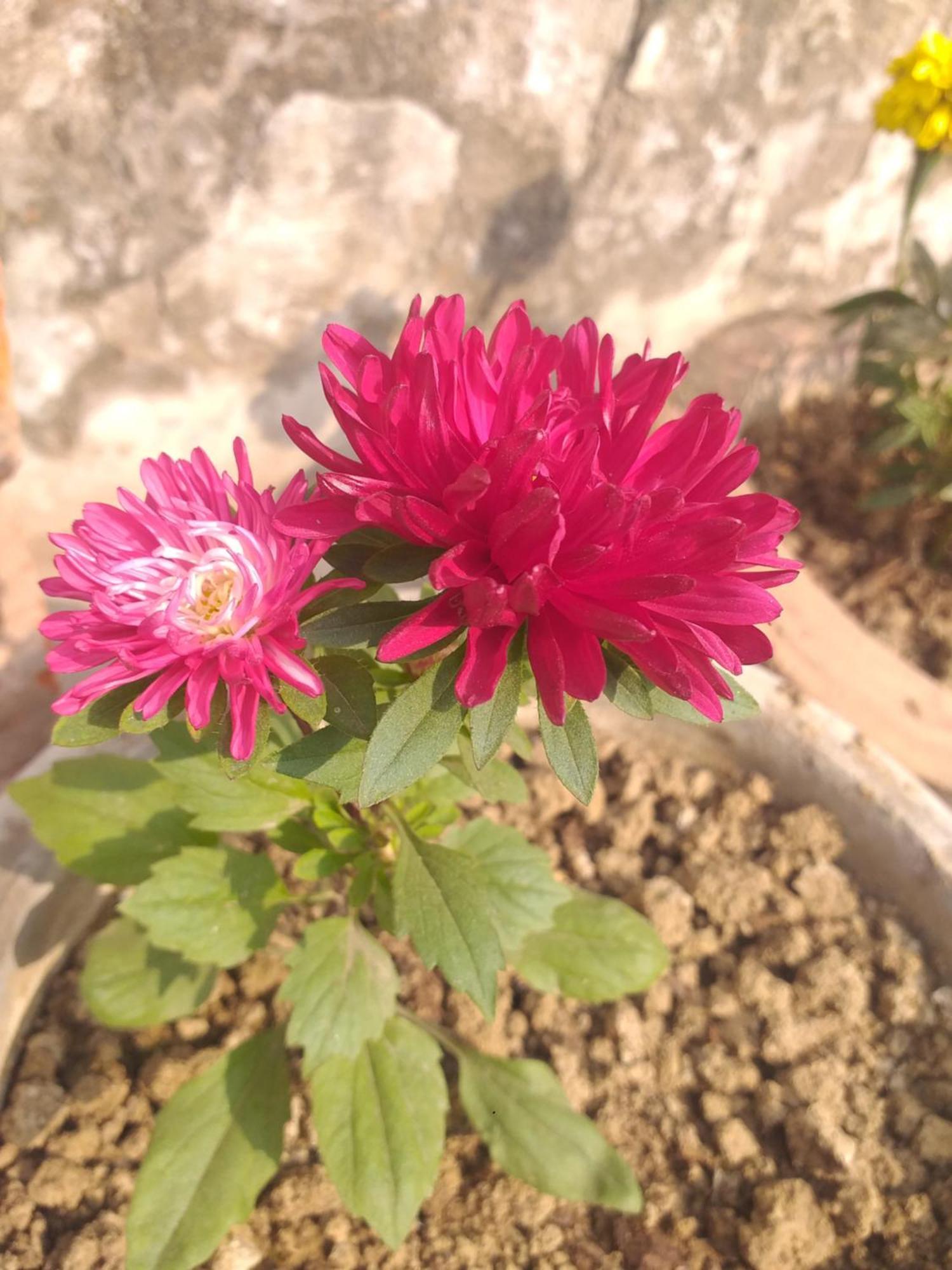 Prayag Family Homestay Prayagraj Bagian luar foto